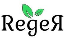 Reger Business Solutions